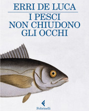 “I pesci non chiudono gli occhi” di Erri De Luca