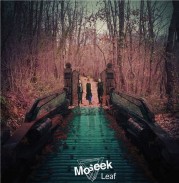 “Leaf”: a tu per tu con i Moseek