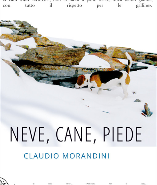 neve_cane_piede_ClaudioMorandini_recensione_flaneri.com