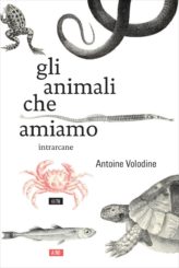 Nella giungla post-esotica </br>di Antoine Volodine