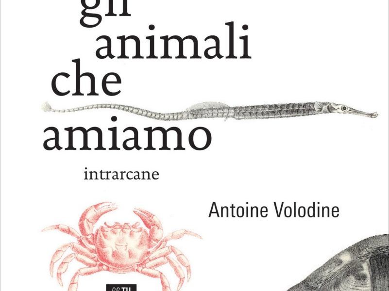 Copertina di Gli animali che amiamo di Antoine Volodine