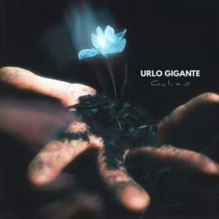 copertina di urlo gigante su flaneri