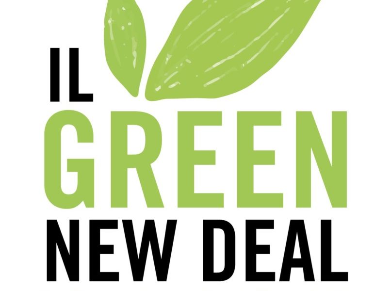 Il Green new deal di Ann Pettifor