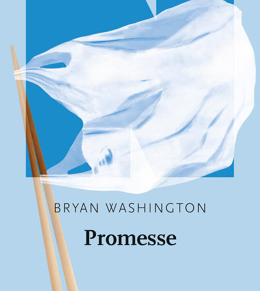 Copertina di Promesse di Washington