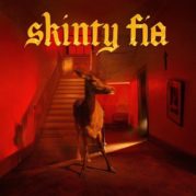 Skinty Fia dei Fontaines D.C.