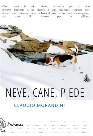 neve_cane_piede_ClaudioMorandini_recensione_flaneri.com